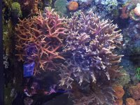IMG_5702.jpg