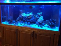 IMG_3839.jpg