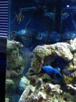 IMG_0038.jpg
