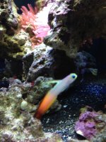 IMG_0332.jpg