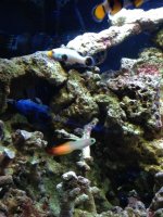 IMG_6918.jpg