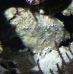 20141228_082006-1.jpg