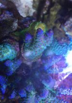 IMG_0047.jpg