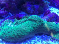 IMG_6105.jpg