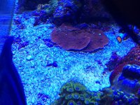 IMG_6109.jpg