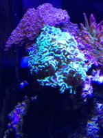 IMG_5176.jpg