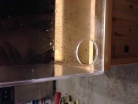ImageUploadedByReefs2014-07-01 22:50:20 EDT.jpg