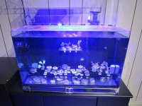 IMG_0059.jpg