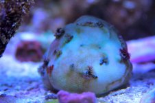 IMG_9302.jpg