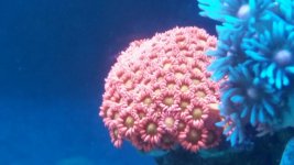 20141125_203910.jpg