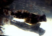 IMG_5337.jpg