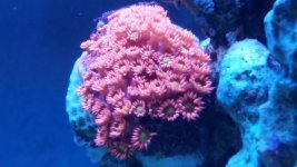 20141225_001004.jpg