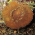 IMG_2145.jpg