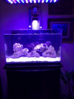 MR.Aqua 17gal.rimless tank.JPG