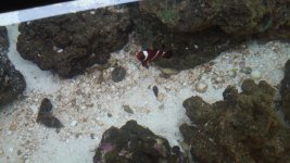 20150329_160436.jpg