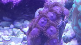 20150329_172725.jpg