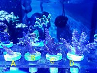 IMG_20141007_005124.jpg