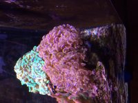 IMG_5182.jpg