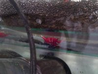 20150211_193517.jpg