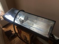 light_1642.jpg