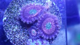 20140703_121756.jpg