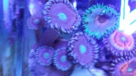 20140703_121718.jpg