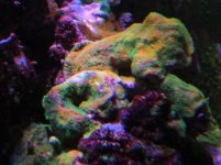 Img_1668.jpg