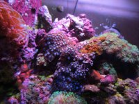 Img_1666.jpg