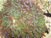 100_1277.JPG