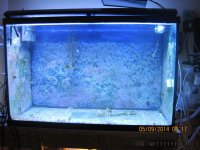 IMG_0421.jpg