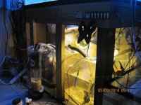 IMG_0425.jpg