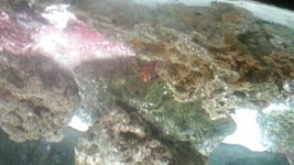 20150213_081859.jpg