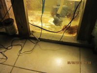 IMG_0433.jpg
