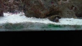 20150206_124340.jpg