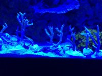IMG_1730.jpg