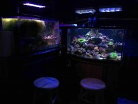 ImageUploadedByReefs2015-02-13 14:08:55 EST.jpg