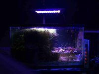 ImageUploadedByReefs2015-02-13 14:09:09 EST.jpg