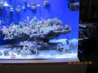 IMG_0627.jpg