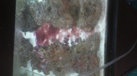 20150213_134748.jpg