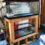 ImageUploadedByReefs2014-10-09 11:24:25 EDT.jpg