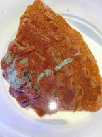 ImageUploadedByReefs2014-07-05 19:07:30 EDT.jpg