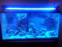 20141112_220319.jpg