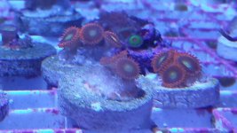 20150329_172651.jpg