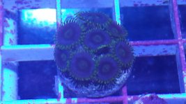 20150329_172808.jpg