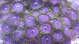 20150329_172719.jpg
