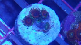 20150401_171705.jpg