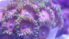 20150401_171803.jpg