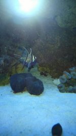 WP_20150402_001.jpg