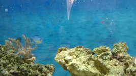 WP_20150402_007.jpg
