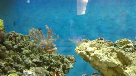 WP_20150402_008.jpg